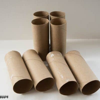 Starting Seedlings with Toilet Paper Rolls!