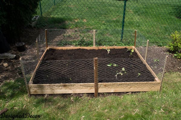 Building a raised garden bed-11