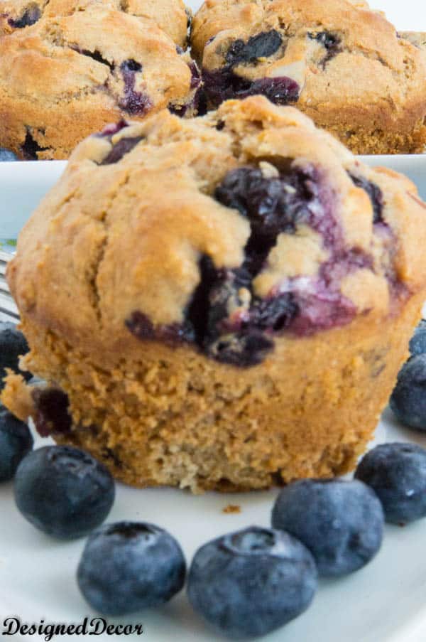 Healthly Blueberry Muffins-13