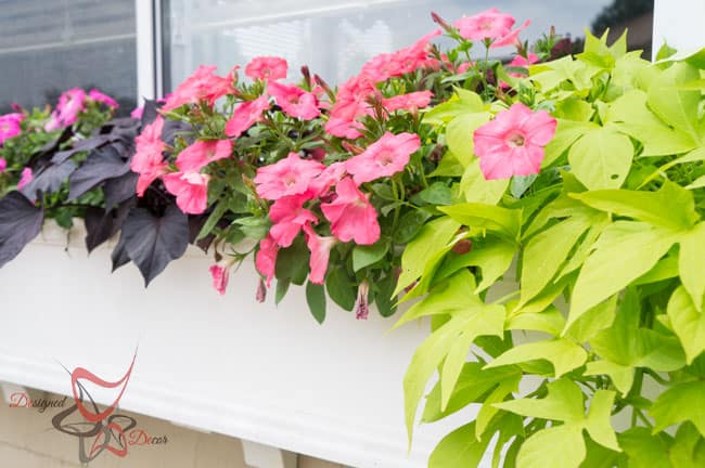 Window Boxes- Flower Boxes- How to add curb appeal-14