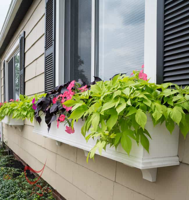 Window Boxes- Flower Boxes- How to add curb appeal-7