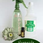 Homemade All-Purpose Cleaner