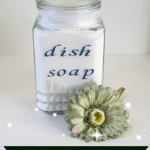 Homemade Dishwasher Detergent!