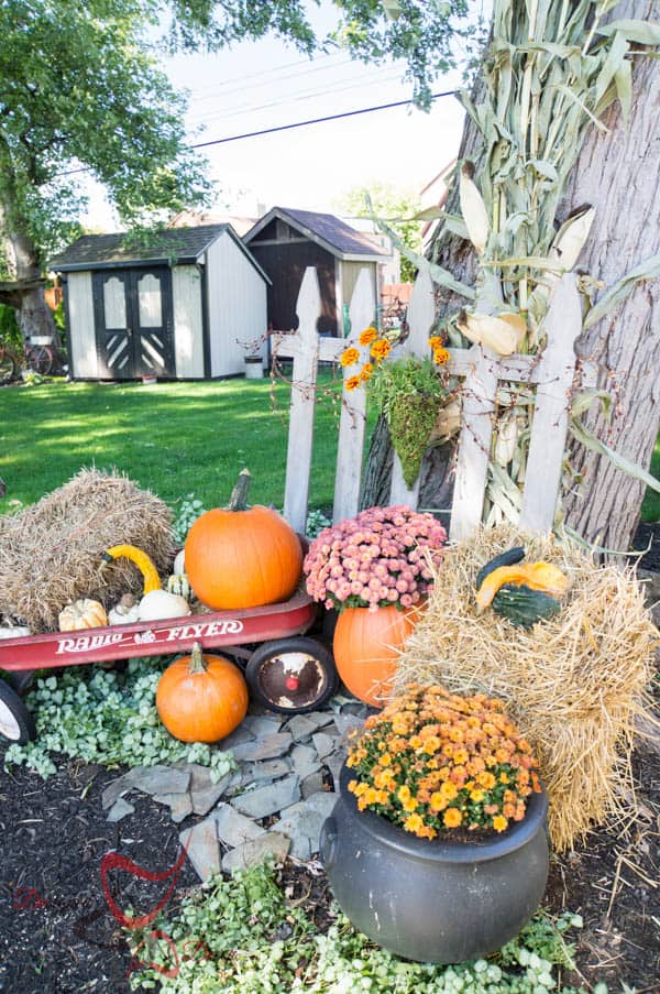 2014 Fall Home Decor-