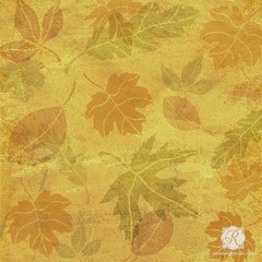 Autum-Fall-Leaves-Stencils- Royal Design Studio