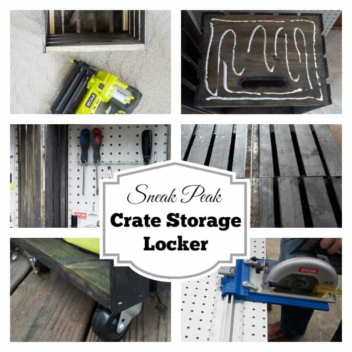Sneak Peak Crate Storage Locker- Ryobi Nation