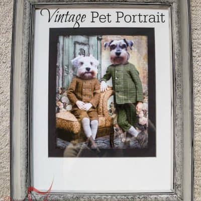 Vintage Pet Portrait!