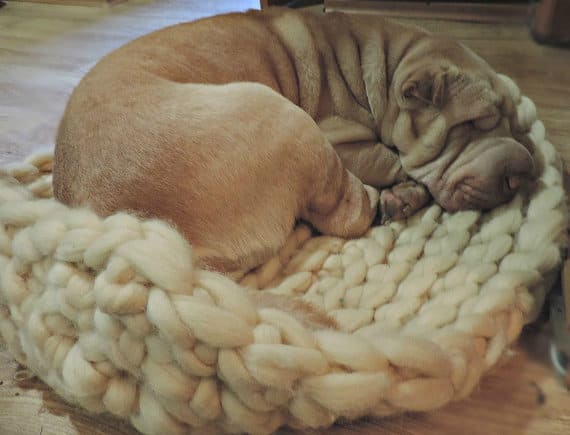 chunky dog bed with a sharpei dog sleeping on the bed