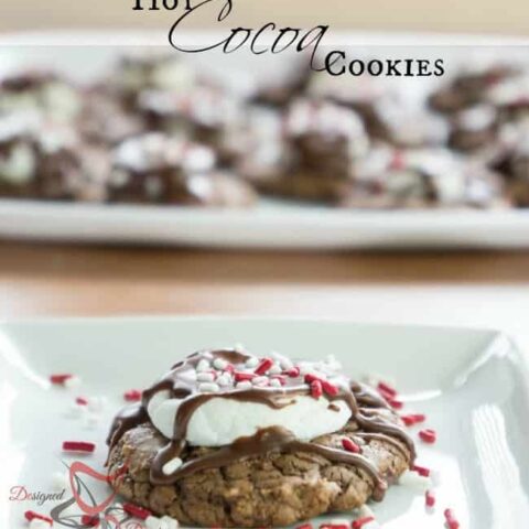 Hot CoCoa Cookies!