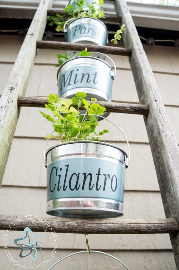 Close up of a Vertical Herb Garden