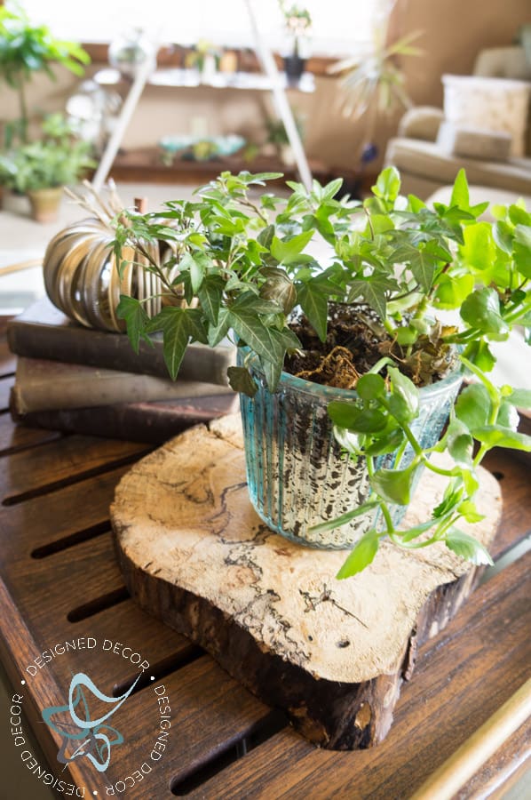 diy-wood-slices-natural-rustic-centerpiece-home-decoaccessories-4