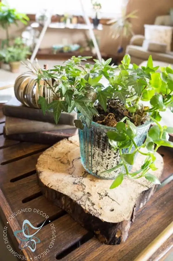diy-wood-slices-natural-rustic-centerpiece-home-decor diy-wood-slices-natural-rustic-centerpiece-home-decoaccessories-4