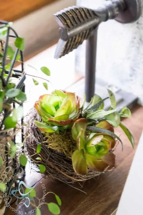 diy-a-frame-plant-stand-succulants diy-a-frame-plant-stand-6