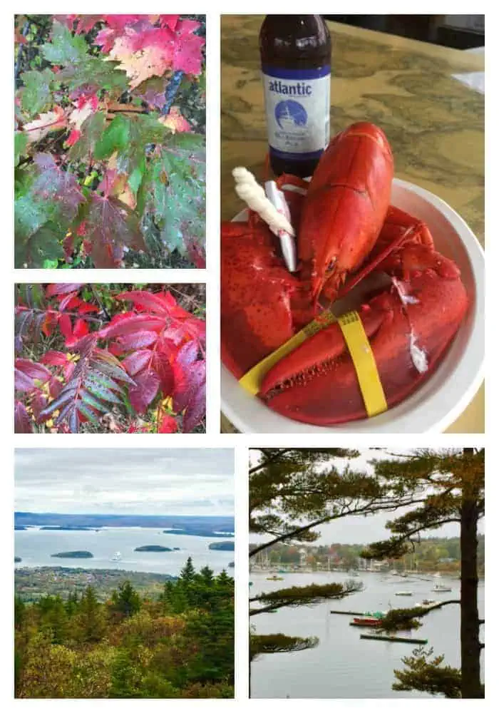 Bar Harbor, Maine- Acadia National Park - Designed Decor Bar Harbor Maine