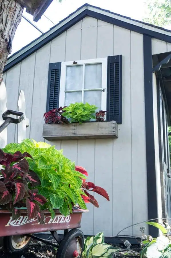 Repurposed Window Shed Flower Boxes