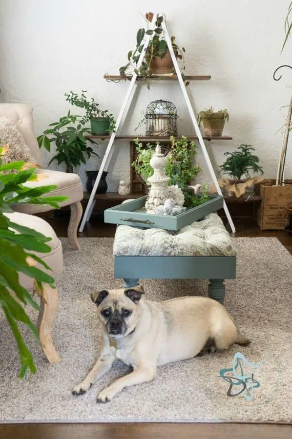 How to-Create-Custom-Area-Rugs