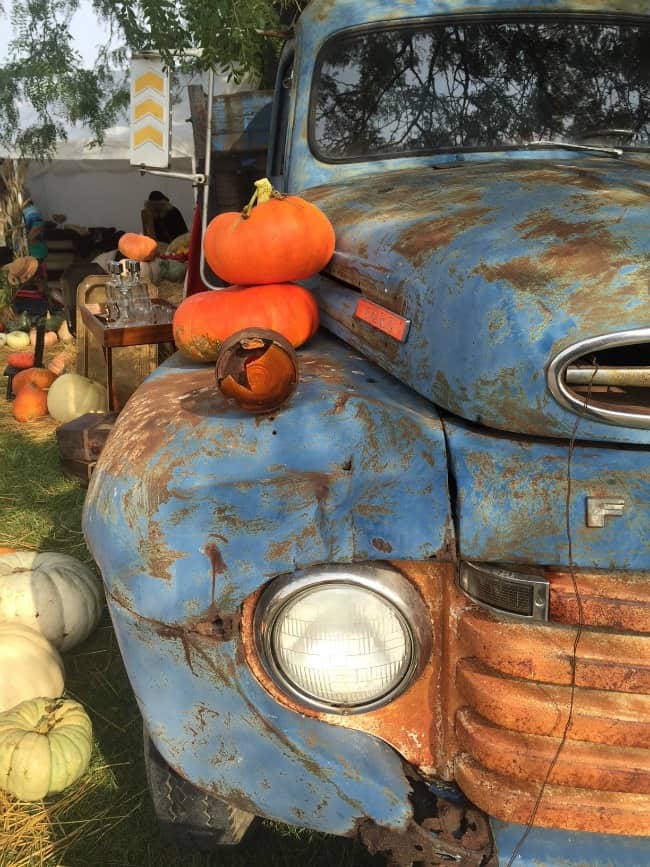 front view of a rusted blue antique  Ford truck