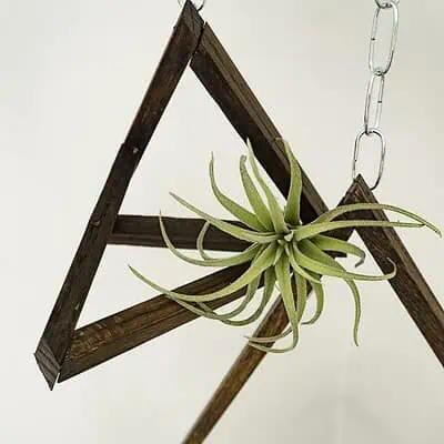 Simple to Make DIY Hanging Air Plant Holder