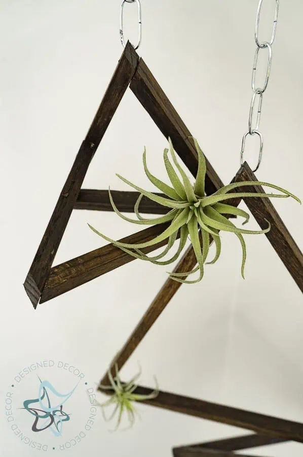 DIY home decor air plant holders