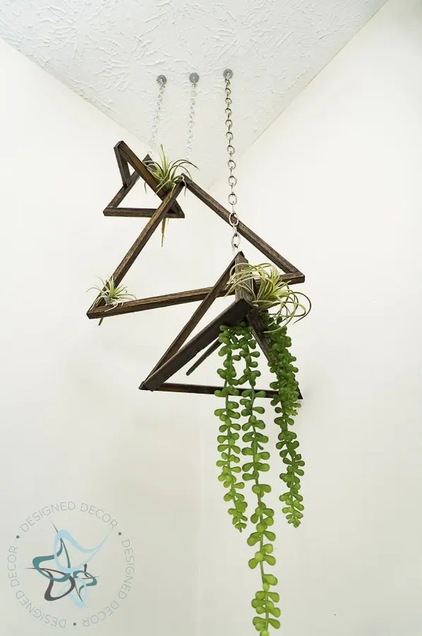 modern air plant holders