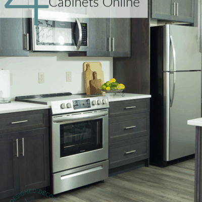 Buying Kitchen Cabinets online for the Guest Suite