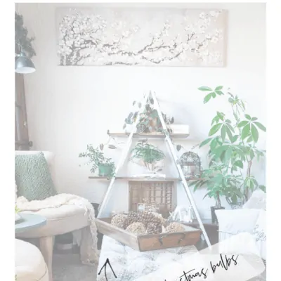 Simple Seasonal Decorating  ideas to transition between the holidays