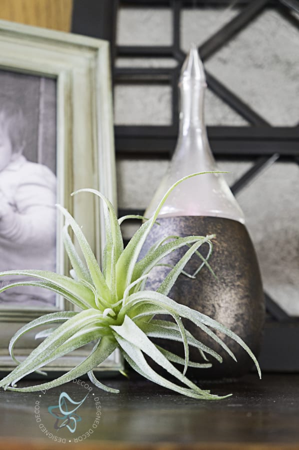 picture of a painted diffuser with an air plant sitting in front 